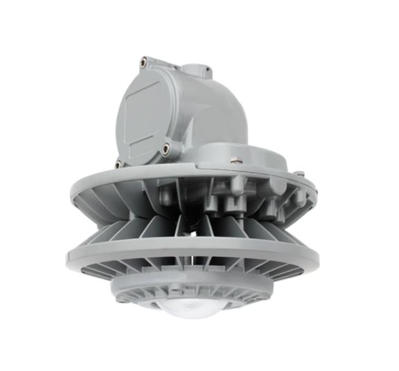 Tormin ATEX seamless anti-corrosion 60W indoor Lamp pole mounted explosion proof LED dock light Model: BC9306P Series